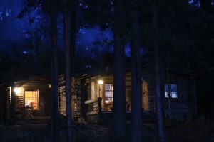 夜の森の画像2